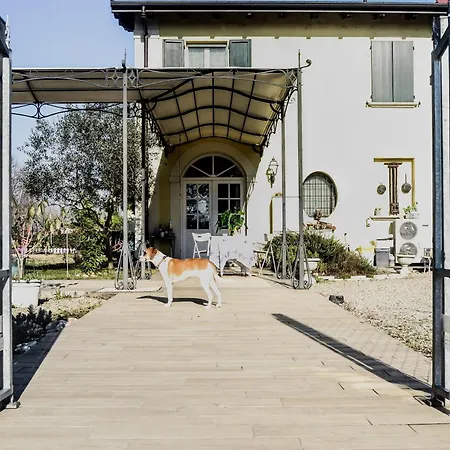 Bed & Breakfast Lotus 3*