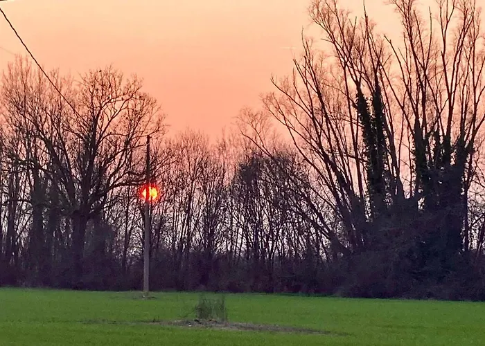 Bed and Breakfast Lotus Crespellano